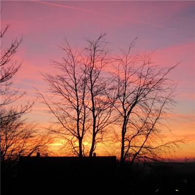 火狐体育APP下载截图