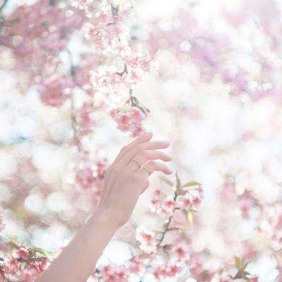 AOA体育登录入口app下载